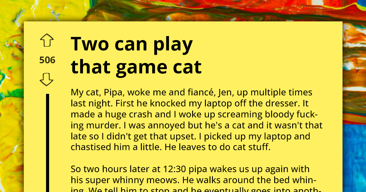 Redditor Dishes Out Purr-fect Revenge To Troublesome Cat As Payback For Keeping Them Up At Night