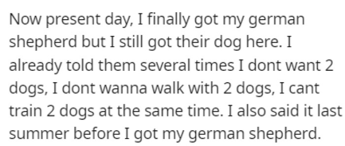OP finally got the German Shepherd they dreamed of, but they don't have enough time for 2 dogs