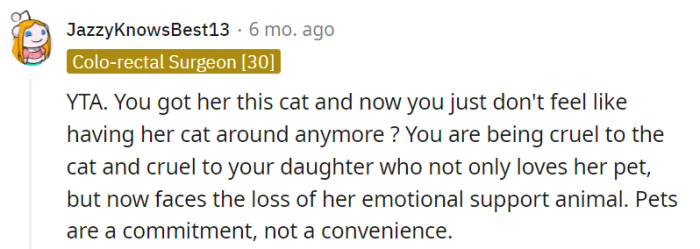 The commenter strongly believes that the parent is at fault (YTA), emphasizing that the parent's decision to no longer tolerate their daughter's cat displays cruelty towards both the cat and their daughter. They stress the importance of understanding that pets are a long-term commitment and not merely a matter of convenience.