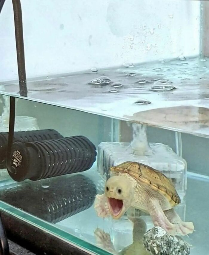 29. What's so shocking?