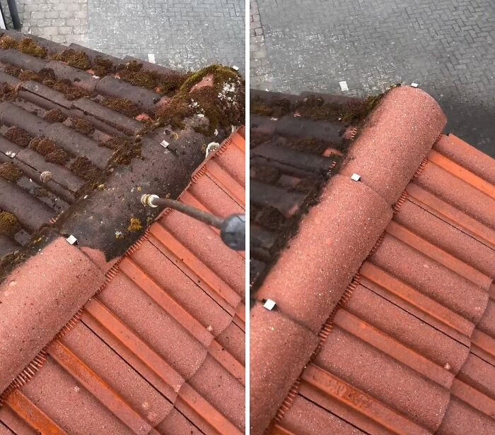 "Roof Tile Cleaning"