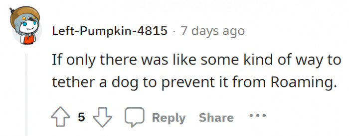Finally, somebody talked about the dog!