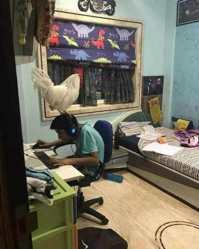 18. Chicken training that gamer neck