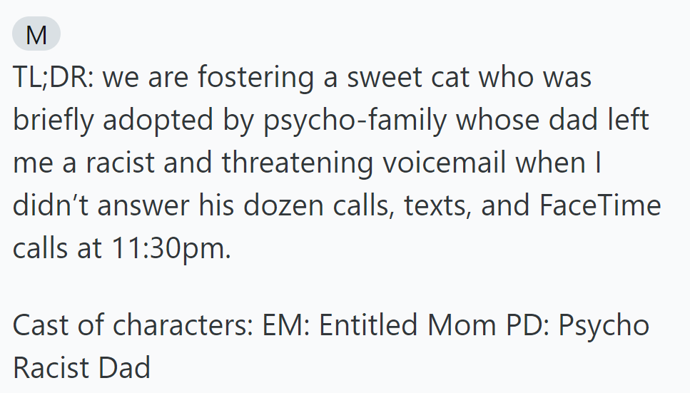 TL;DR: Fostering a cat briefly adopted by a psycho family. Psycho Racist Dad left a threatening voicemail after multiple late calls.