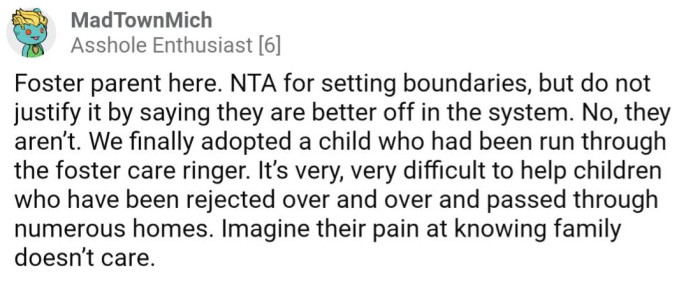 An actual foster parent chimed in