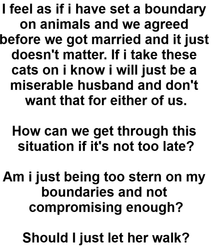 OP wants to know exactly what he should do in this situation because he feels somewhat stuck.