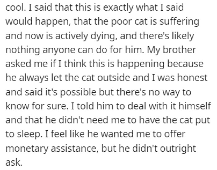 OP told him that there was nothing else to do but put the cat down