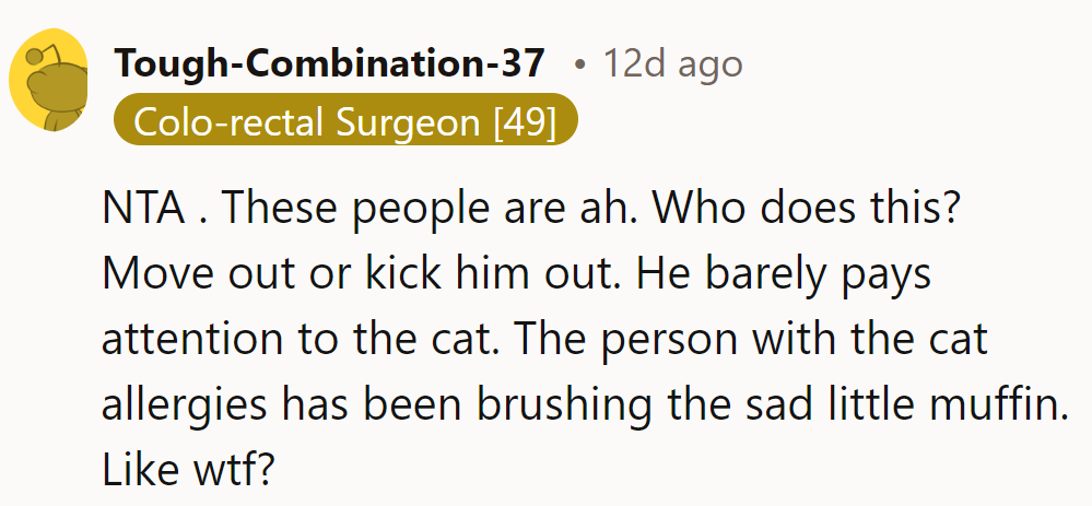 Maybe it's time for a cat-astrophe-free living arrangement.