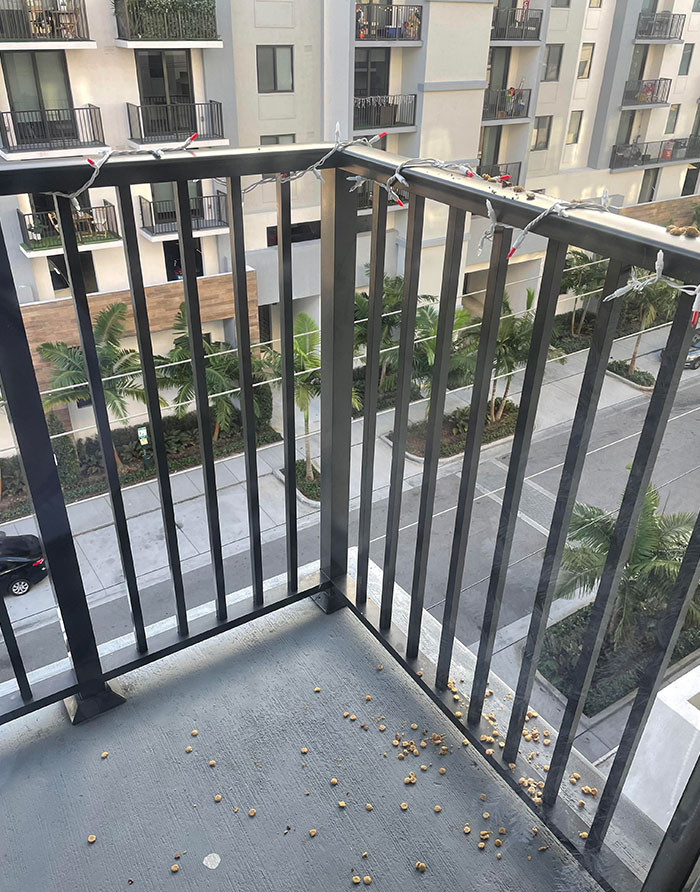 34. Neighbors who think they can dump their dog's crap and other wastes on another tenant's balcony