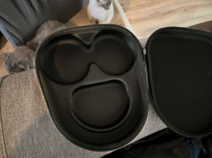 'Opened My BF's Headphone Case, It Was Very Happy About It'