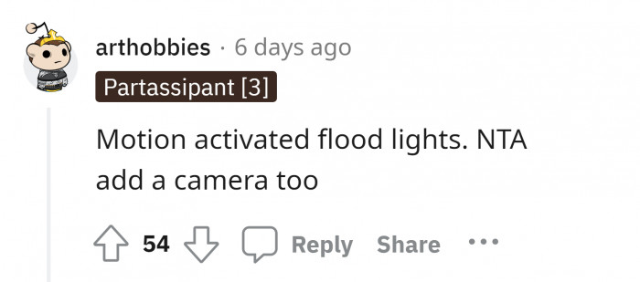 #7 Camera's for safety for you and your pets too.