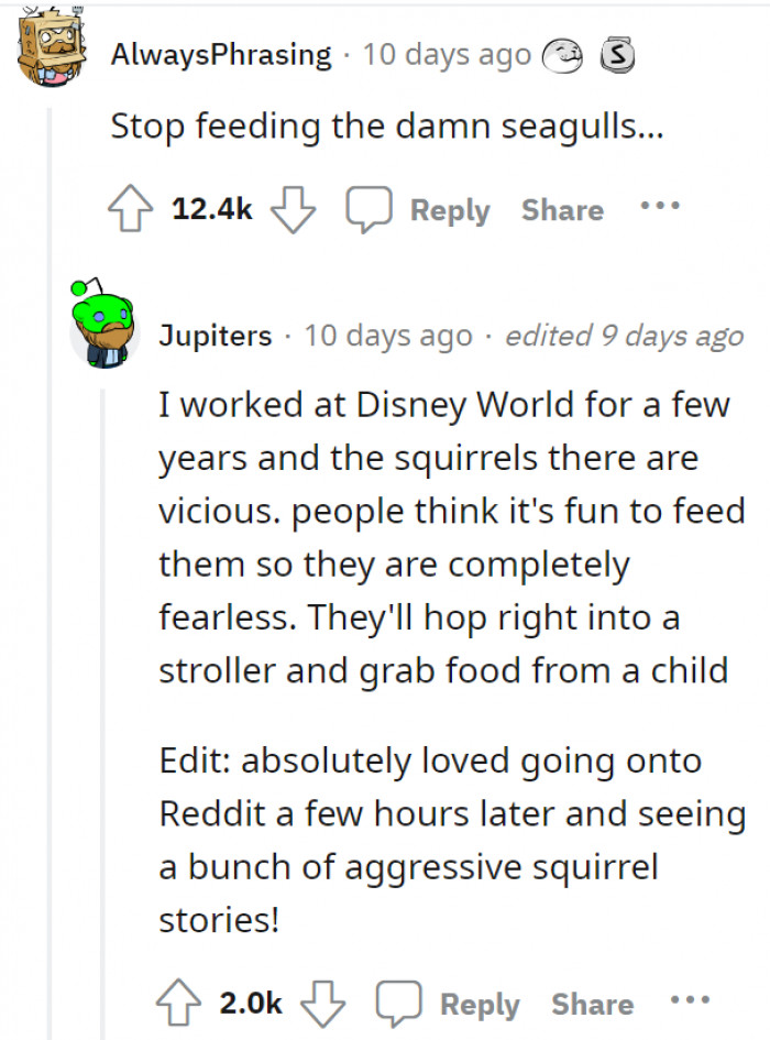 14. Feeding the seagulls in Disney.