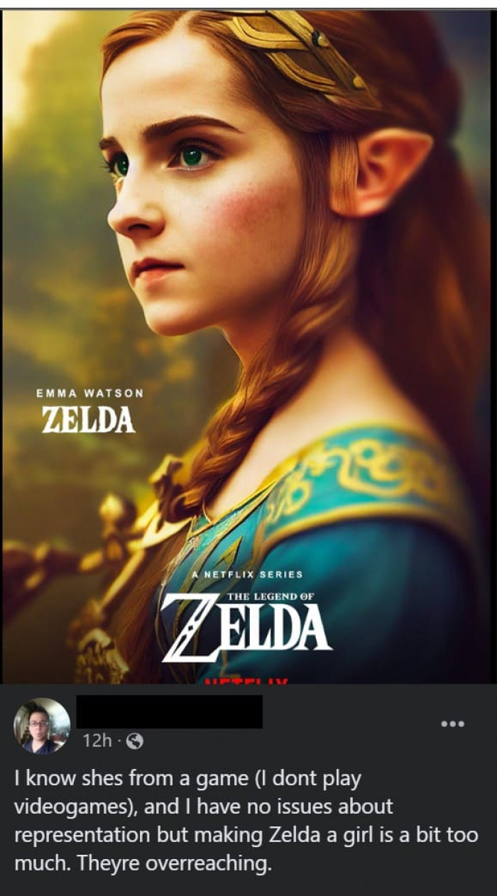 11. This person thinks that the Zelda girl is a bit too much