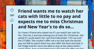 Friend Demands Cat-Sitting Over Holidays For Minimal Pay, Expects Sacrifice, And Gets Furious At Rejection
