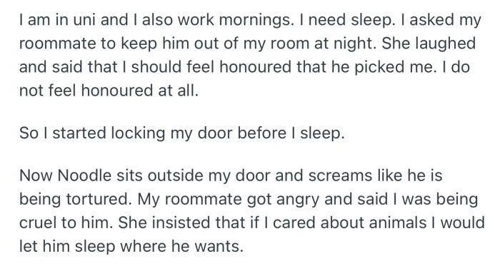 OP decided to start locking their door before sleeping, which meant the cat no longer had access to their room. This didn’t go down well with their roommate