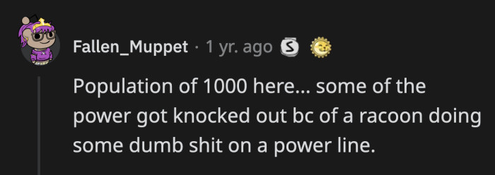 31. The raccoon just wanted to see a beautiful night sky for once