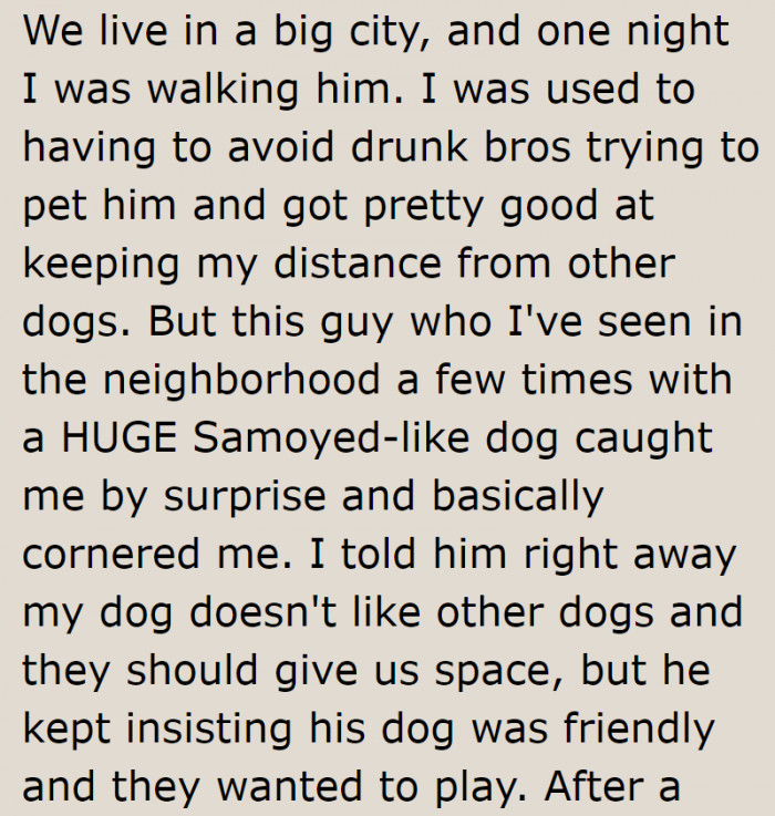 The Redditor encountered a dog owner who insisted on letting his dog play with theirs.