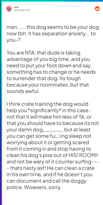 Comment from u/Ok-Work-410