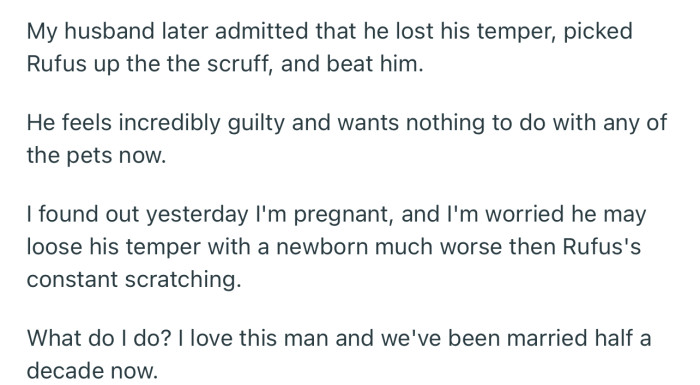 OP’s husband later admitted that he lost his temper and beat up the dog