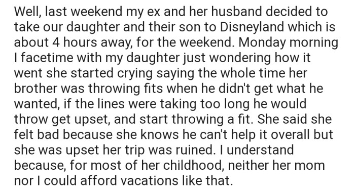 OP explained that his ex and her husband decided to take his daughter and their son to Disneyland. However, when he FaceTimed his daughter to ask how the outing was, she complained that her brother ruined it for everyone due to his tantrums.