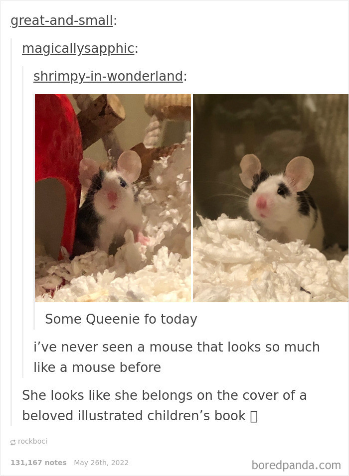 49. A mouse that looks like a mouse