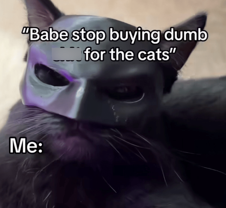 18. This black cat in a bat-cat mask is hitting new levels of purrfection previously unknown to mankind.