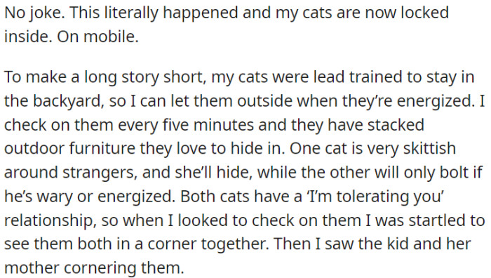 OP's Cats, Trained to Stay in the Backyard, Are Now Trapped There Because a Child and Her Mother Cornered Them