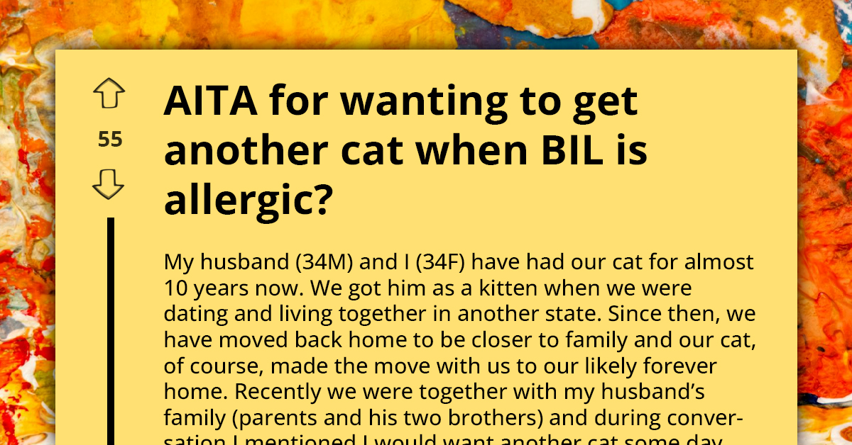 Woman's Plan To Adopt New Cat Despite Brother-In-Law's Severe Allergies Causes Stir In Family