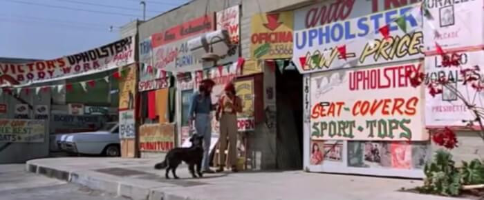 6. In the 1978 movie ‘Cheech & Chong’s Up in Smoke,’ the scene in which Chong’s burrito gets eaten by a dog while they are in Tijuana was not planned and was not in the original script.