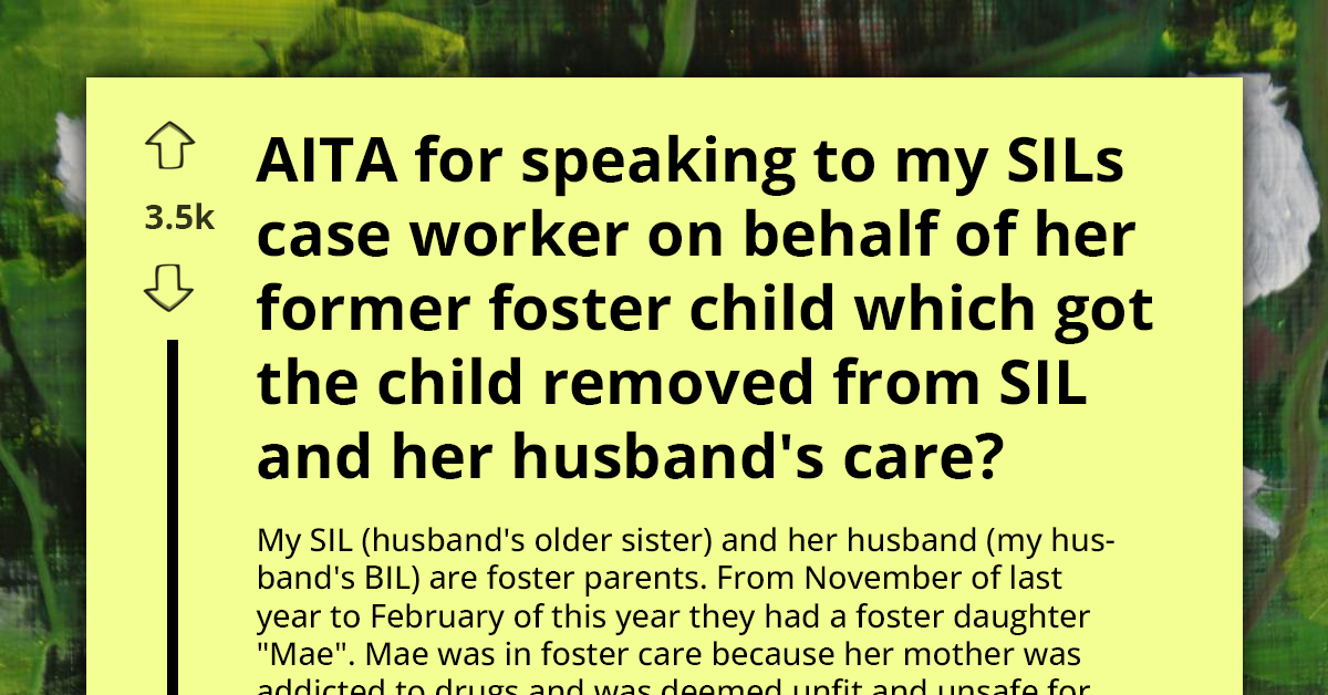 Redditor Has Talk With Sister-In-Law's Caseworker Resulting In SIL's Foster Child Being Removed From Her Care