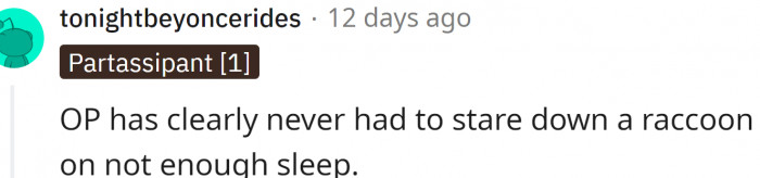 Ah, yes... the raccoons.