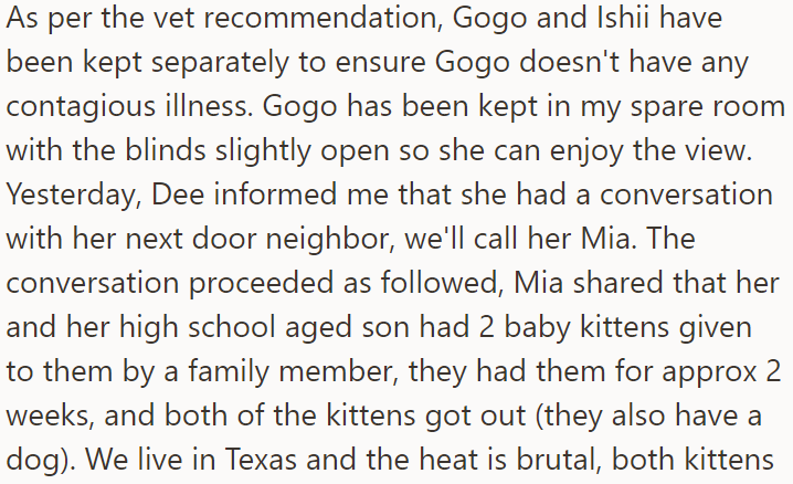 But during a conversation with the neighbor, Dee learned they had lost two kittens and were looking for them