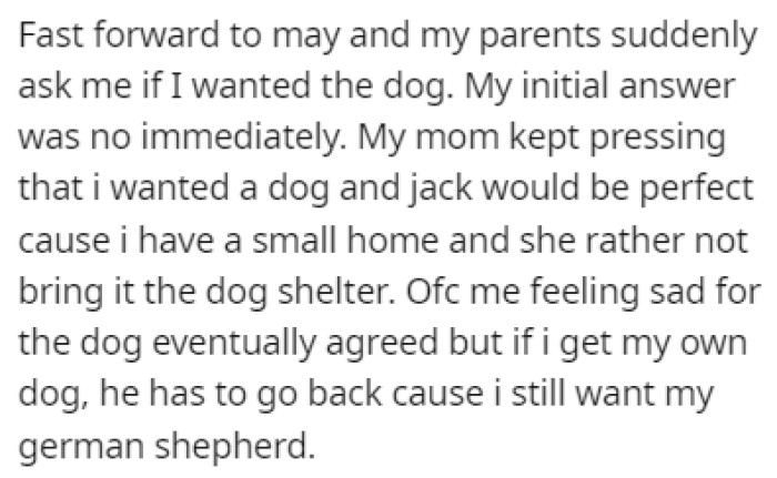 Suddenly, the parents asked OP if they would take the Terrier, and they refused at first