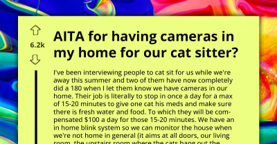 Apprehensive Redditor Asks If She's A**hole For Having Cameras In Her Home To Keep Eye On Cat-Sitter