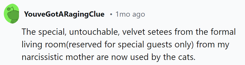 Mother's Untouchable Settees, Now Graced by the True VIPs: the Cats.