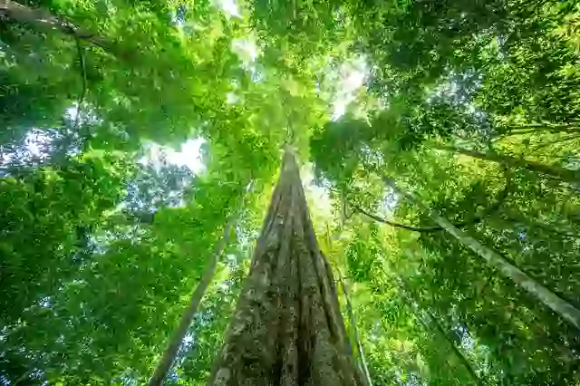 The simulation revealed what would happen.