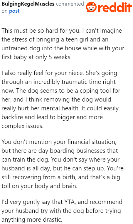 The OP Needs to Try Several Things Before Ultimately Deciding to Rehome It, According to This User.