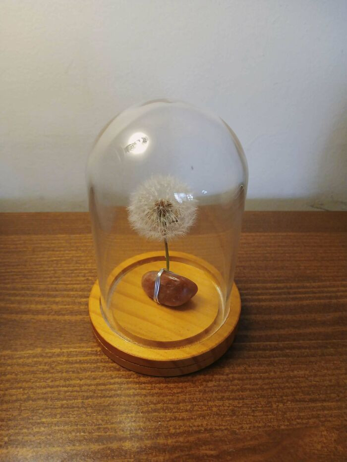 "I Made An Everlasting Wish Jar"