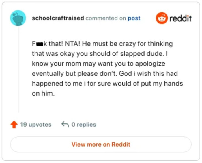 This Redditor would've slapped the mom's ex.