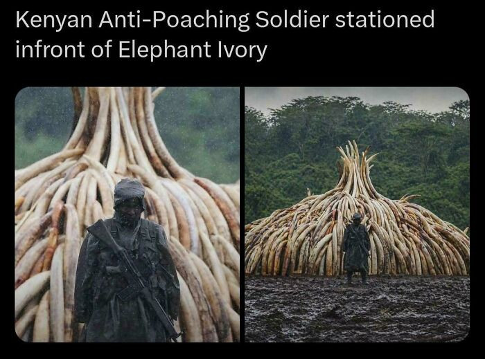 "Protector Of Souls"