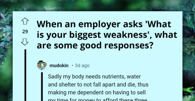 "What Is Your Biggest Weakness" - 30 People Give Witty Yet Blunt Responses To Employers