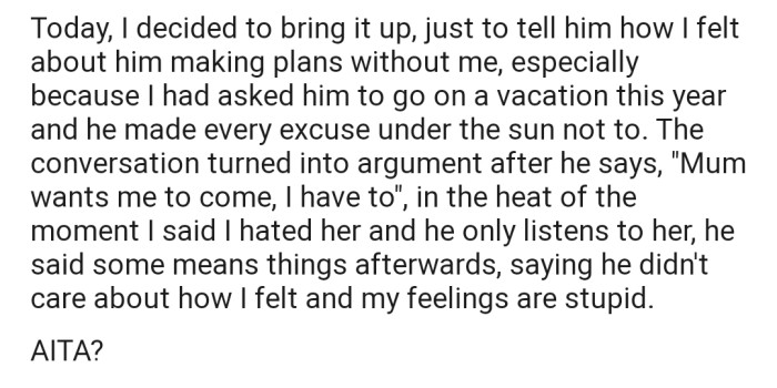 OP later confronted their husband about why he would make plans without them, especially since he made excuses not to go on a family vacation not too long ago. The discussion snowballed into an argument, which pushed OP to voice their hatred for his mom.