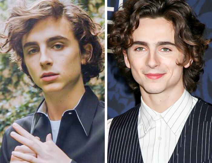 4. Timothée Chalamet