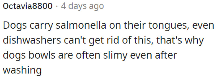 Dogs can have salmonella on their tongues, and even dishwashers may not completely remove it, leading to slimy dog bowls even after washing.