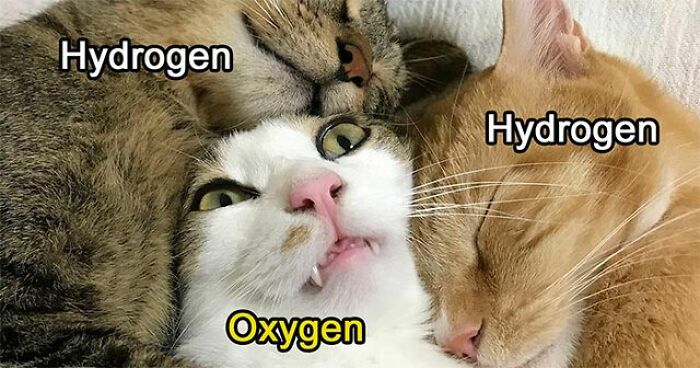 1. The cutest water molecule you'll ever see: two Hydrogens keeping Oxygen cozy!