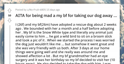 Girl Gets Mad At Her Boyfriend For Causing Their Newly Adopted Dog To Lose Its Bond With Her