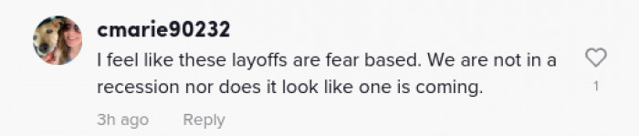 A user thinks that these layoffs by companies are irrational.