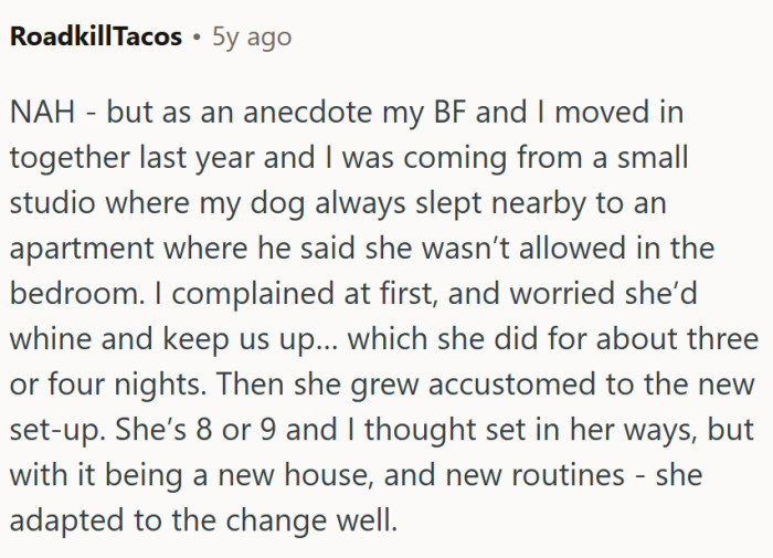 Dogs get used to things...