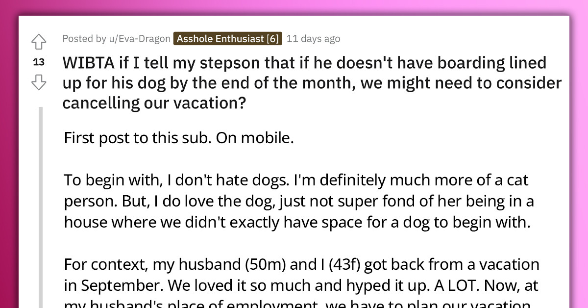 Redditor Wants To Threaten Her Stepson With Canceling Vacation If He Doesn't Line Up Boarding For His Dog