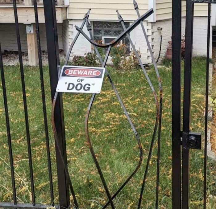 "If Not Dog, Then What?"